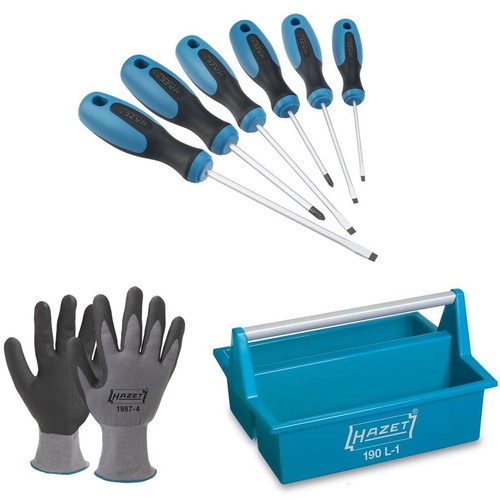 Hazet set 810 cacciaviti - 810/6,